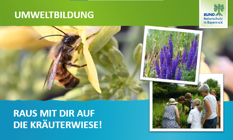 Kräuterwiese